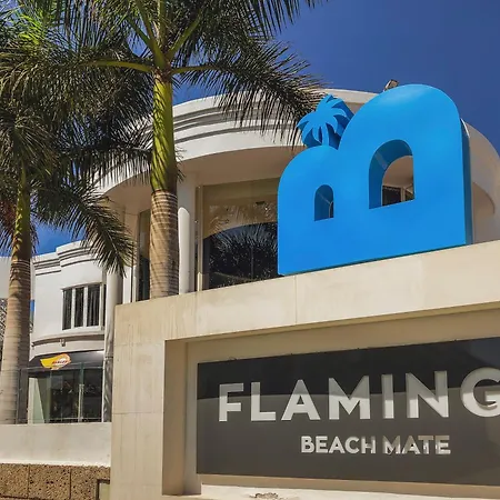 Hotel Flamingo Mate 4*