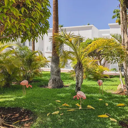 Flamingo Mate Hotel