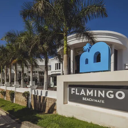 Flamingo Mate Адехе