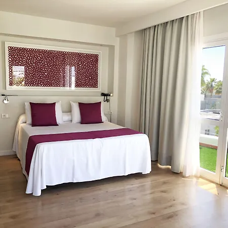 Flamingo Mate Costa Adeje (Tenerife)