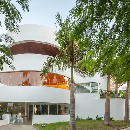 Flamingo Mate Адехе