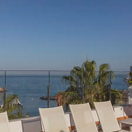 Flamingo Mate Costa Adeje (Tenerife)