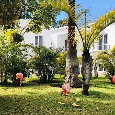 Отель Flamingo Mate 4*