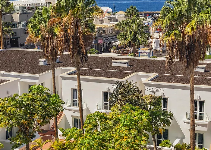 Flamingo Mate Costa Adeje (Tenerife)